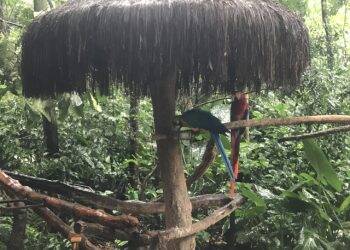 Terça-feira, 26, será de chuva em Foz do Iguaçu, prevê Climatempo