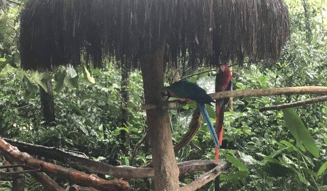 Terça-feira, 26, será de chuva em Foz do Iguaçu, prevê Climatempo