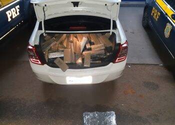 PRF apreende 276kgs de maconha