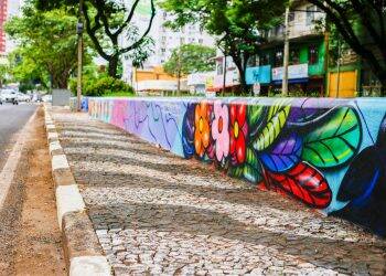 Canteiros da JK foram revitalizados e recebem grafite da fauna e flora local