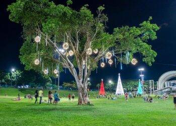 Estrelas de luzes e cores brilham na abertura do Natal do Gramadão