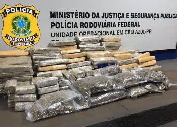 PRF apreende maconha transportada em veículo roubado.