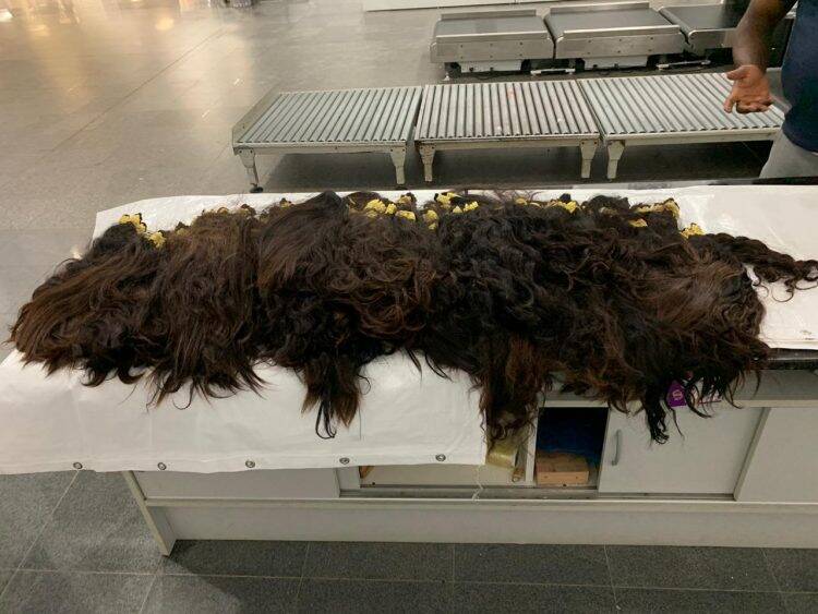 Cabelo é apreendido no aeroporto de Foz do Iguaçu