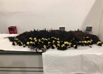 Cabelo é apreendido no aeroporto de Foz do Iguaçu