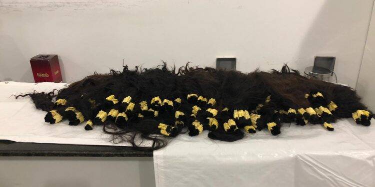 Cabelo é apreendido no aeroporto de Foz do Iguaçu