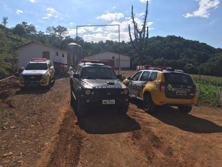 Operação contra furto de gado prende homem e apreende 22 mil reais