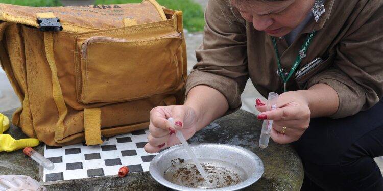 Principal criadouro do mosquito da dengue está nos domicílios
