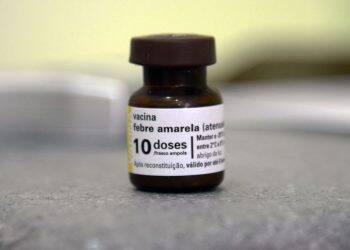 Ministério da Saúde faz alerta sobre febre amarela