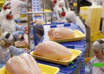 Início de ano promissor nas exportações de carne de frango