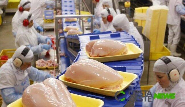 Início de ano promissor nas exportações de carne de frango