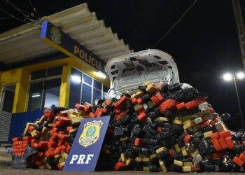 PRF apreende 63 toneladas de drogas no Paraná em 2019 e bate recorde histórico
