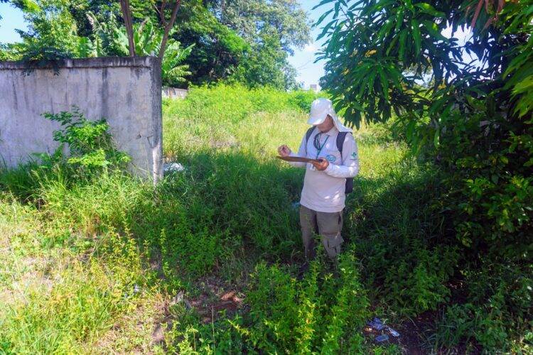 Mobilização contra a dengue retira 17 toneladas de lixo em Foz