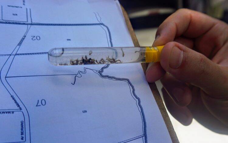 Mobilização contra a dengue retira 17 toneladas de lixo em Foz