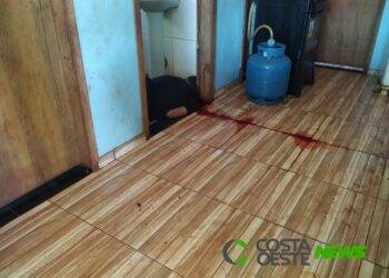 Suspeito de esfaquear mulher é assassinado a tiros no interior de Santa Helena