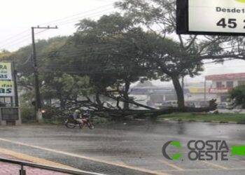 Chuva em Foz derrubou árvores e interditou vias; INMET emite alerta laranja para temporais