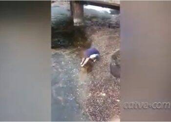 Turista é flagrado pegando “moedas da sorte” nas Cataratas do Iguaçu