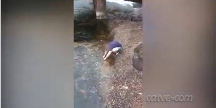 Turista é flagrado pegando “moedas da sorte” nas Cataratas do Iguaçu