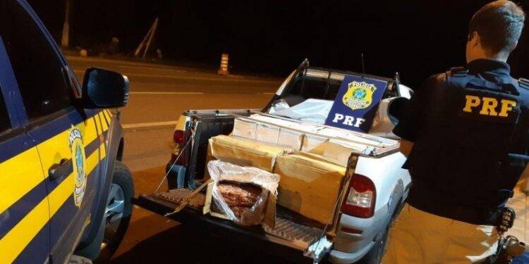 PRF apreende meia tonelada de camarão argentino em Porto Vitória