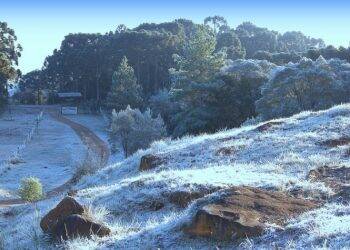 Em pleno verão, Serra Catarinense registra temperaturas abaixo dos 2°C e geada