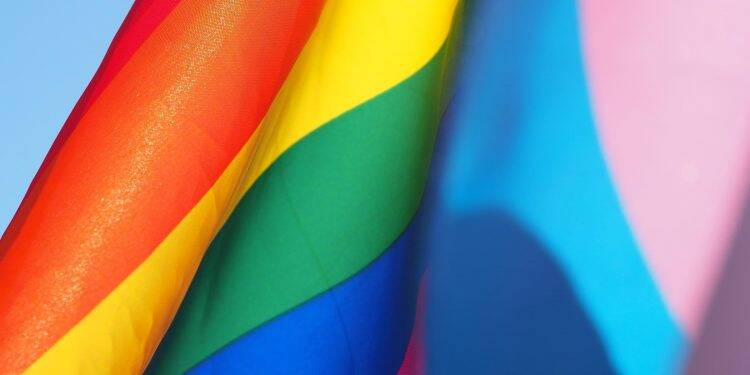 Instituições oferecem vagas para pessoas trans por meio do Sisu