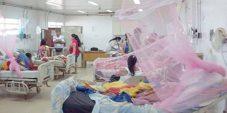 Paraguai confirma 4° morte por dengue e outras 14 em análise