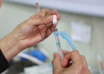 Barreira sanitária eleva índice de vacinação contra febre amarela