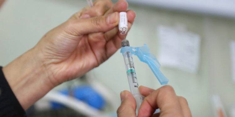 Barreira sanitária eleva índice de vacinação contra febre amarela