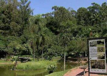 Guarda é agredido e morre após pedir para grupo parar de fumar narguilé em parque