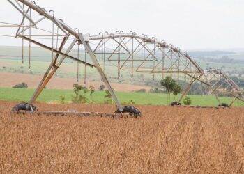 Produção de grãos do país na safra 2019/2020 deverá ser recorde