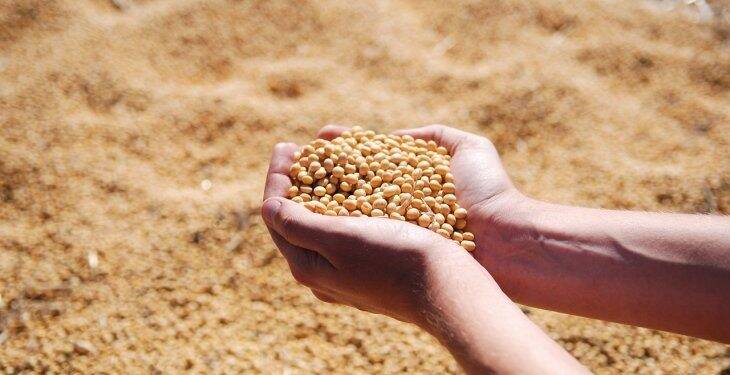 Paraguai garante 5ª maior produção de soja do mundo