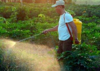 Brasil é principal mercado de agrotóxicos ‘altamente perigosos’, diz ONG