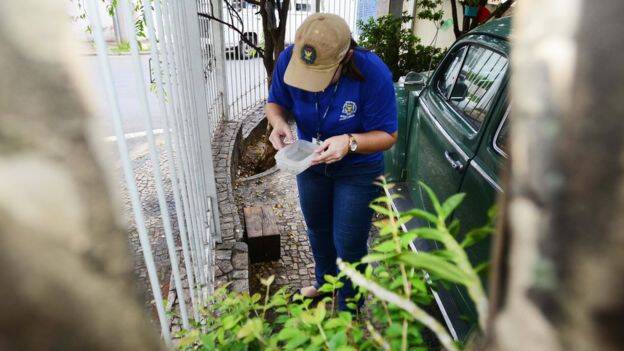 Idealizadora da campanha '10 minutos contra o Aedes' lembra que maioria dos criadouros do mosquito está dentro da casa das pessoas