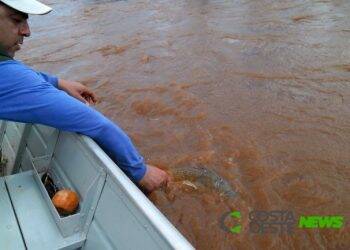 Fim da Piracema: Pesca de espécies nativas está liberada a partir de hoje no Paraná
