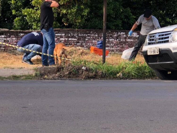 Após tentar salvar o dono, cachorro permanece ao lado do corpo no Rio Grande do Sul