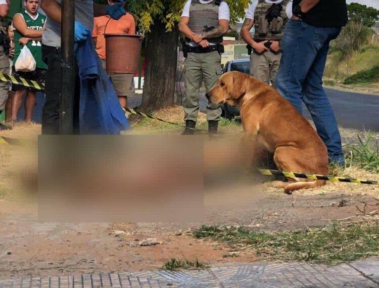 Após tentar salvar o dono, cachorro permanece ao lado do corpo no Rio Grande do Sul