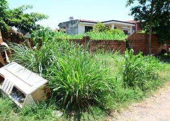 Prefeitura de Cidade do Leste começa a multar proprietários de terrenos sujos