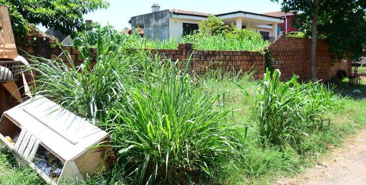Prefeitura de Cidade do Leste começa a multar proprietários de terrenos sujos