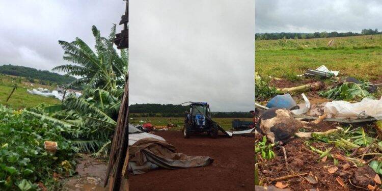 Tornado em Serranópolis do Iguaçu mata animais e derruba galpão