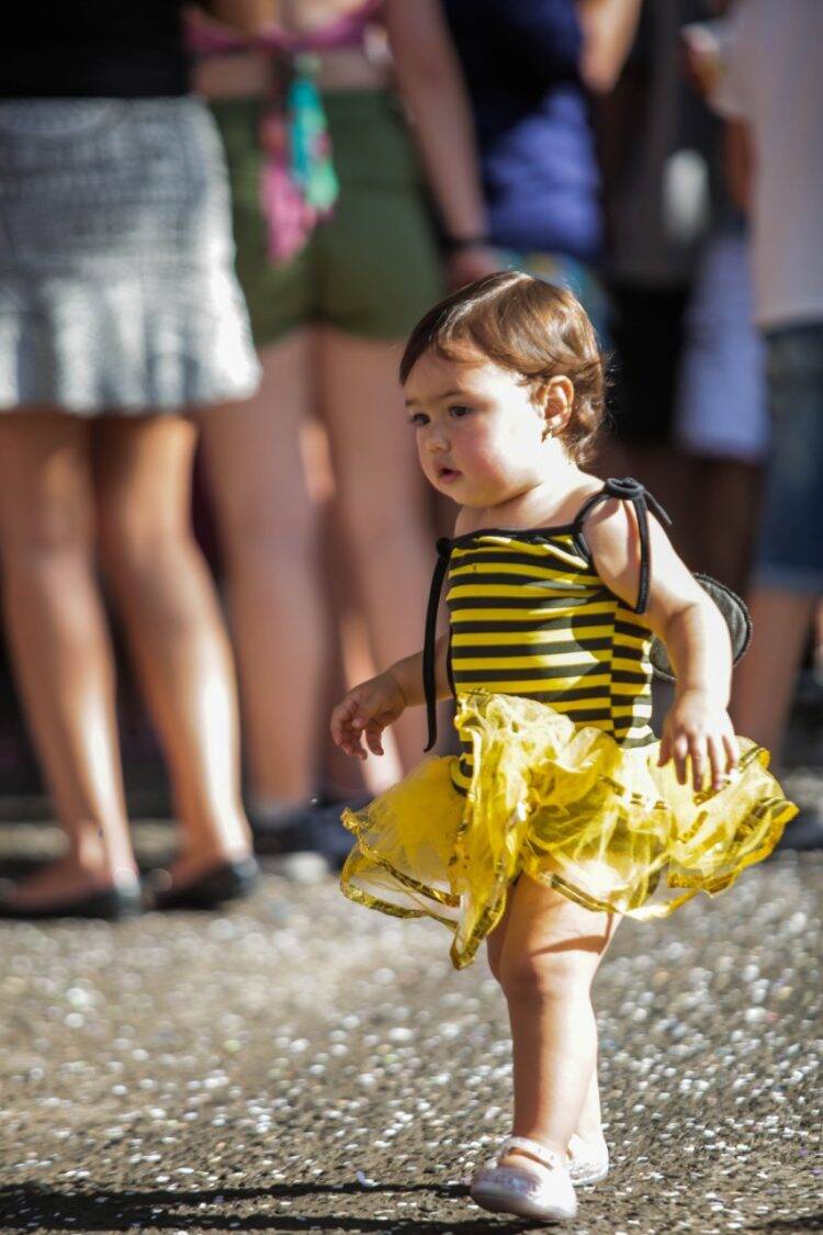 Confira as imagens do primeiro dia do Carnaval da Saudade
