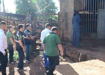 Interditado matadouro que funcionava a mais de 30 anos em Cidade do Leste