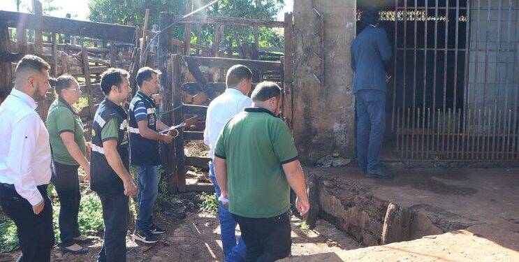 Interditado matadouro que funcionava a mais de 30 anos em Cidade do Leste