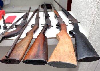 Forças policiais apreendem 20 armas por dia no Paraná