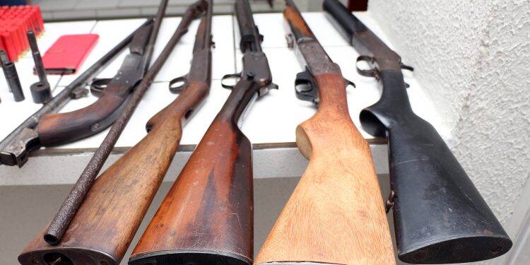 Forças policiais apreendem 20 armas por dia no Paraná