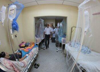 Paraguai confirma 20 mortes por dengue e mais 97 em análise