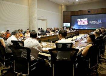 Paraná confirma mais 10 óbitos por dengue; Governo libera 5 milhões para combate