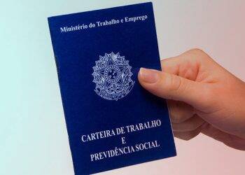 Pequenos negócios geraram 91% dos empregos no Paraná, em 2019