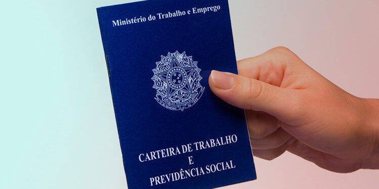 Pequenos negócios geraram 91% dos empregos no Paraná, em 2019