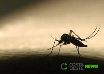 Quarto óbito por dengue é registrado em Medianeira