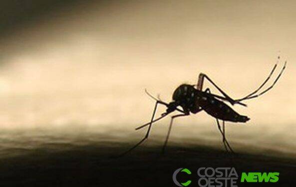 Quarto óbito por dengue é registrado em Medianeira
