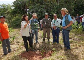 Ações da Itaipu na região de Guaíra são fundamentais  para a vida útil do reservatório